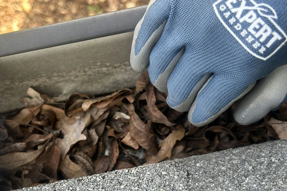 Gutter Cleaning Castle Hills TX