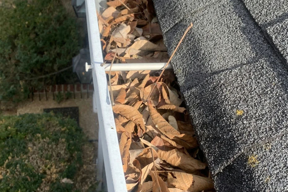 Gutter Cleaning Castle Hills TX